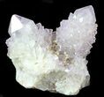 Cactus Quartz (Amethyst) Crystals - South Africa #47184-1